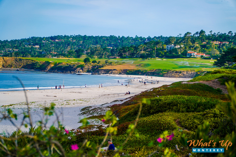 Carmel Beach