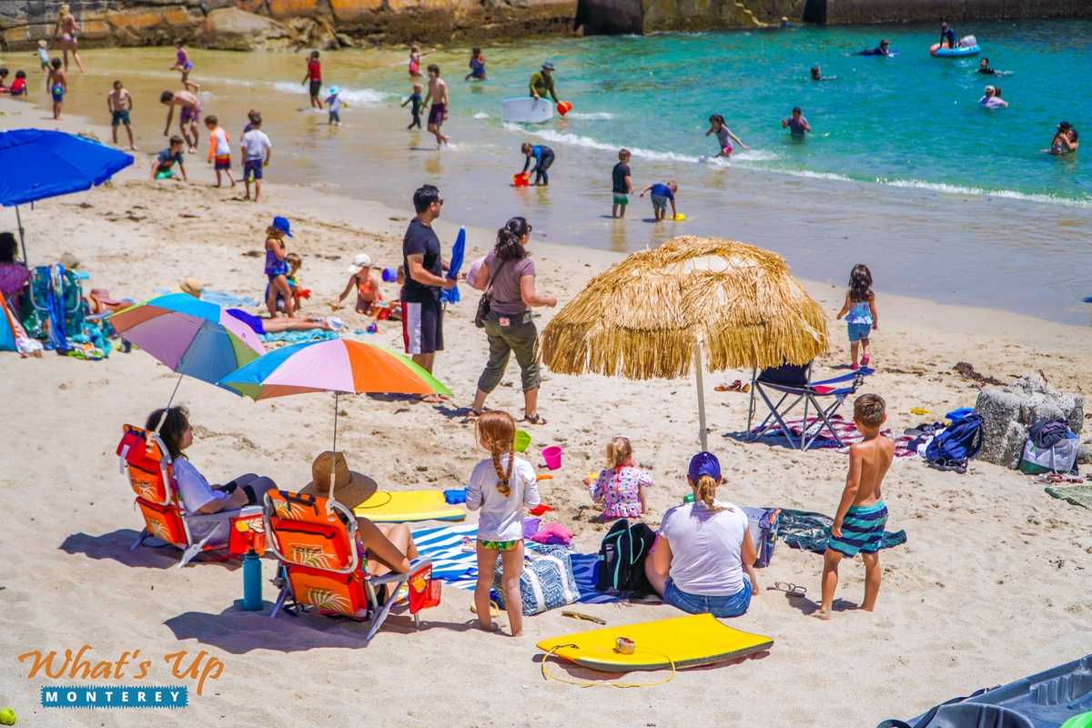 Reasons to Visit Monterey this Summer