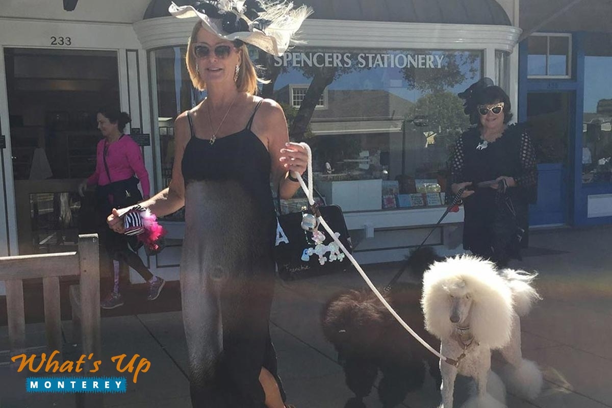 Explore Dog-Friendly Carmel-by-the-Sea