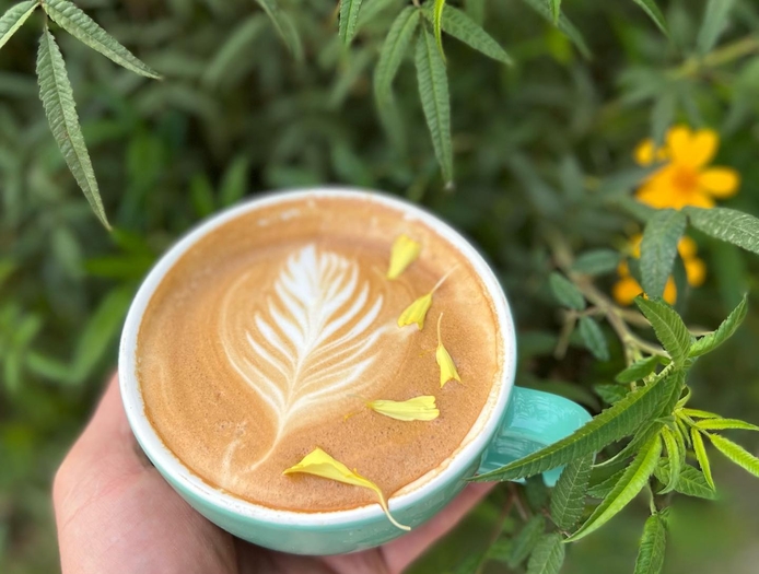 Alta Bakery and Cafe