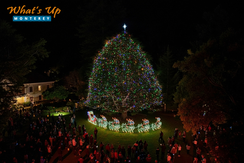 Downtown Monterey Tree Lighting Celebration