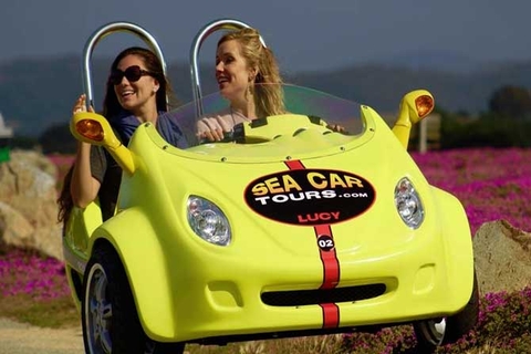 Sea Car Tours