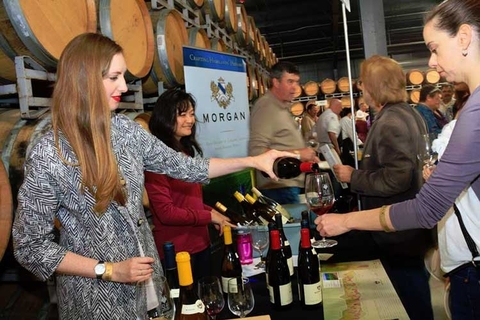 Morgan Winery Tasting Room