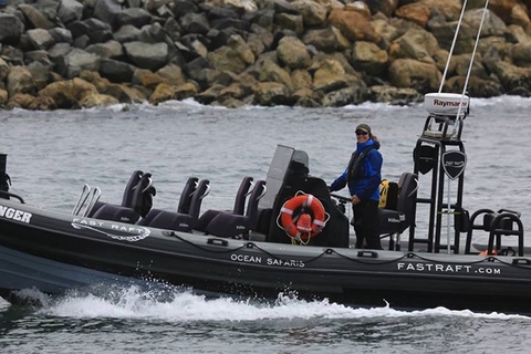 Fast Raft Ocean Safaris